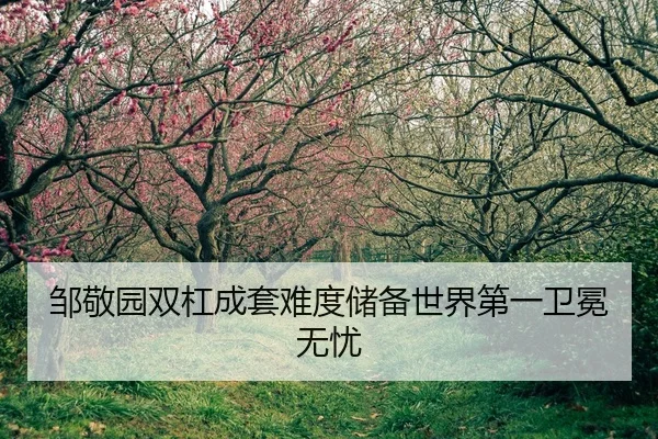邹敬园双杠成套难度储备世界第一卫冕无忧