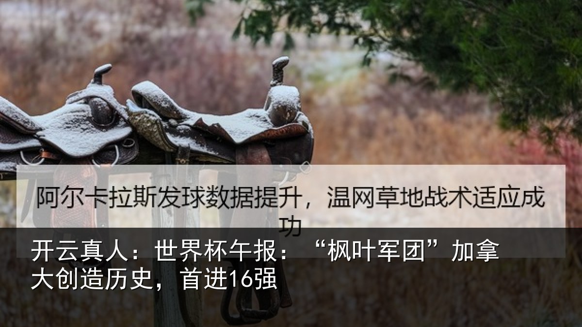 开云真人：世界杯午报：“枫叶军团”加拿大创造历史，首进16强