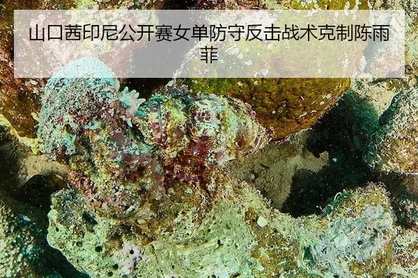 shan-kou-qian-yin-ni-gong-kai-sai-nv-dan-fang-shou-fan-ji-zhan-shu-ke-zhi-chen-yu-fei-3-333.jpg