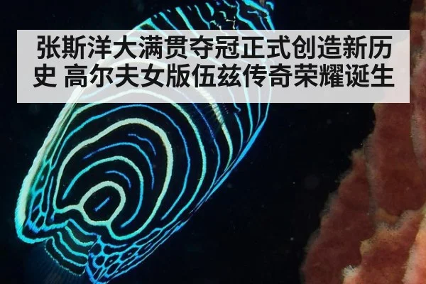 张斯洋大满贯夺冠正式创造新历史 高尔夫女版伍兹传奇荣耀诞生