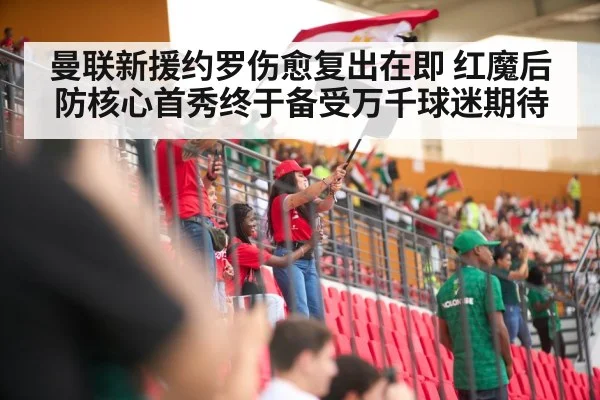 soccer stadium fans cheering