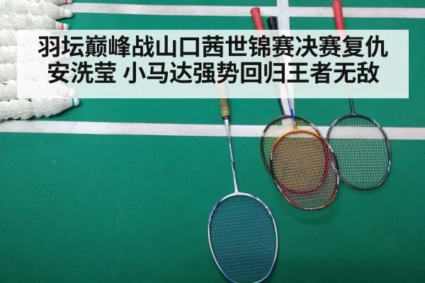badminton court match